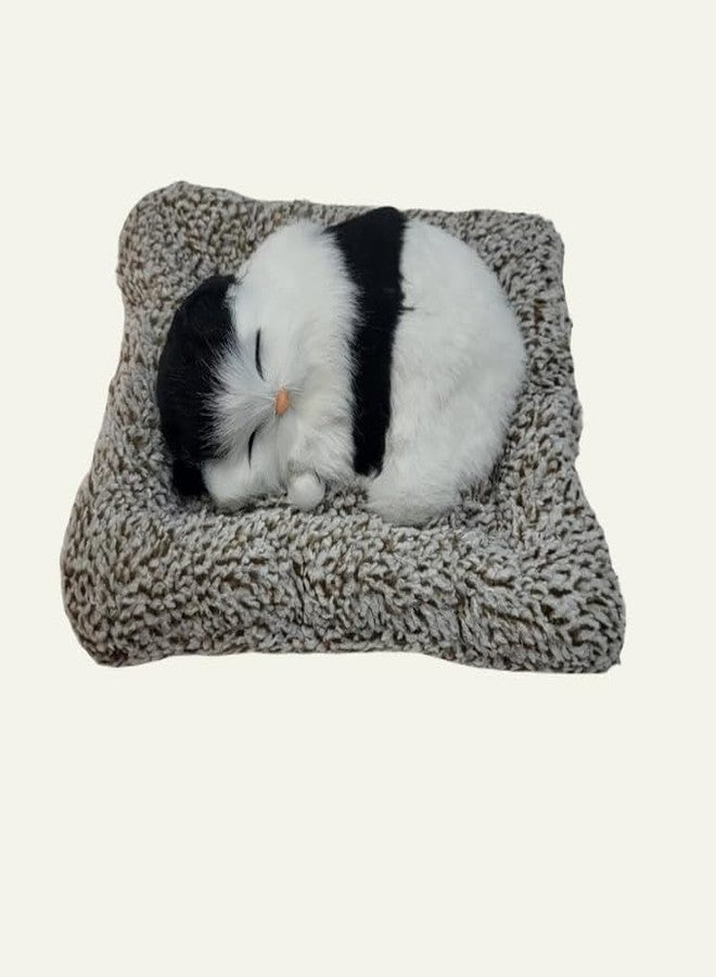 Decordial Cute cat Soft Plush Sound Animal Toy for Girls Christm Gift for Kids Christmas Gift for Women for Children